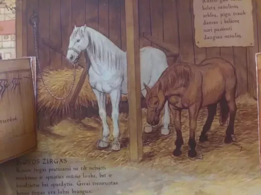 Kaip tapti Riteriu: ginklanešio vadovas - Džefris de Lansas, knyga 6