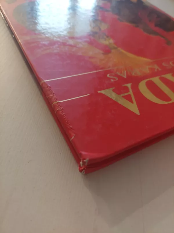 Iliada. Trojos karas - Stelo Martelli, knyga 3