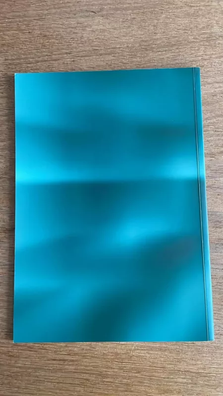 Darbai ir dienos  2000-2004. T. 21-40 - Autorių kolektyvas (įvairūs), knyga 6