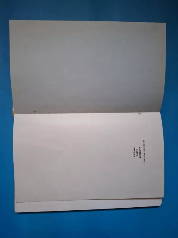 Aukštųjų Tatrų papėdėje - Bandurakas Volodimiras, knyga 4