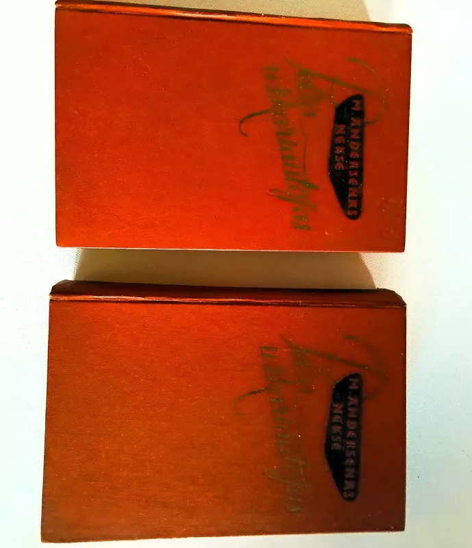 Pelia užkariautojas (2 tomai) - Martinas Andersenas Neksė, knyga 3