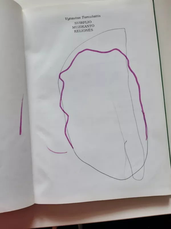 Svirplio muzikanto kelionės - Vytautas Tamulaitis, knyga 4