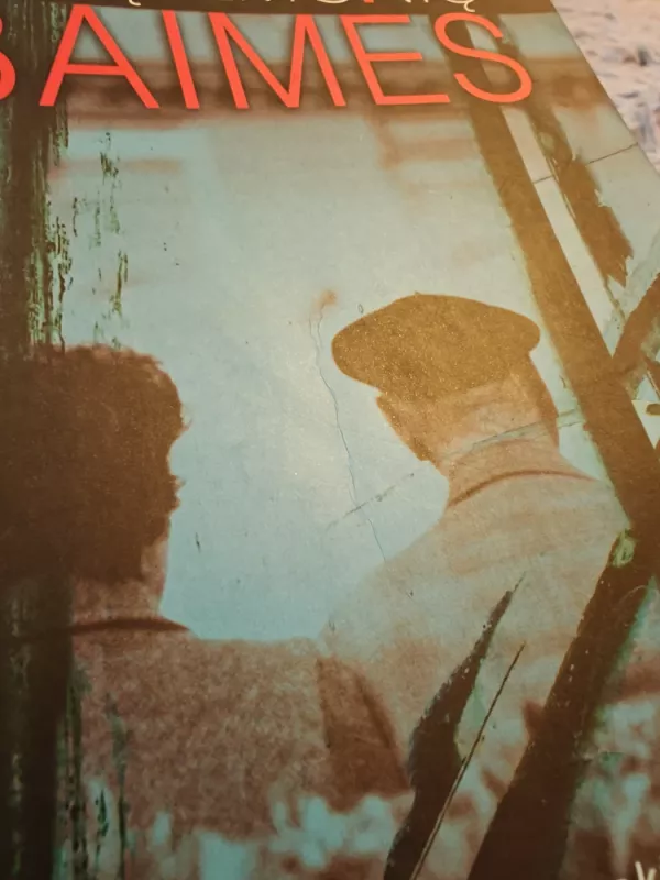 Senų žmonių baimės - H. Blonski, ir kiti , knyga 3