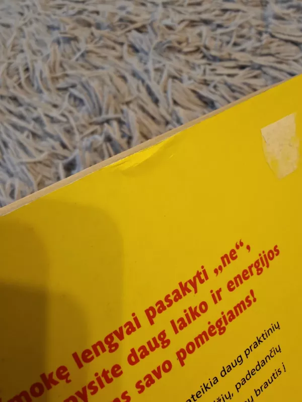 Kaip pasakyti NE nesijaučiant kaltam ir daugiau dėmesio skirti svarbiausiems dalykams - Patti Breitman, knyga 4
