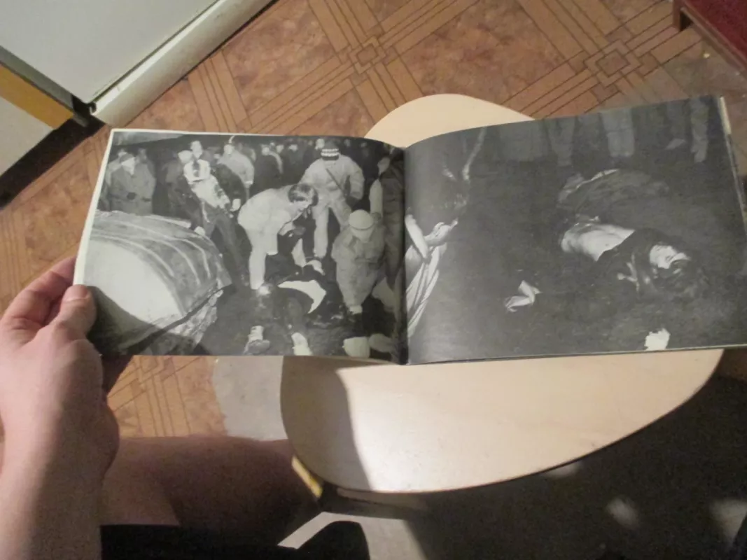 Lietuva 1991.01.13 - Autorių Kolektyvas, knyga 5