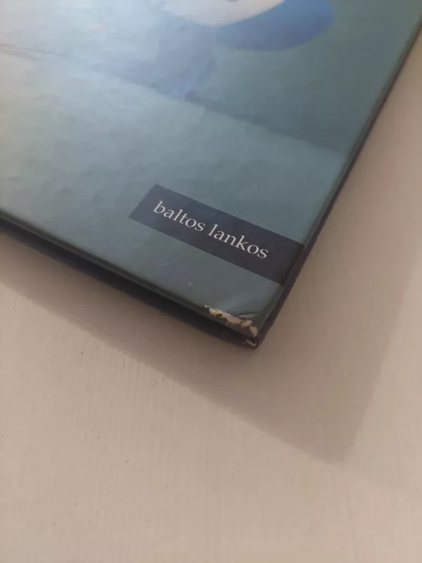 Didžiųjų filosofinių priešybių knyga - Oscar Brenifier, Jacques  Despres, knyga 3