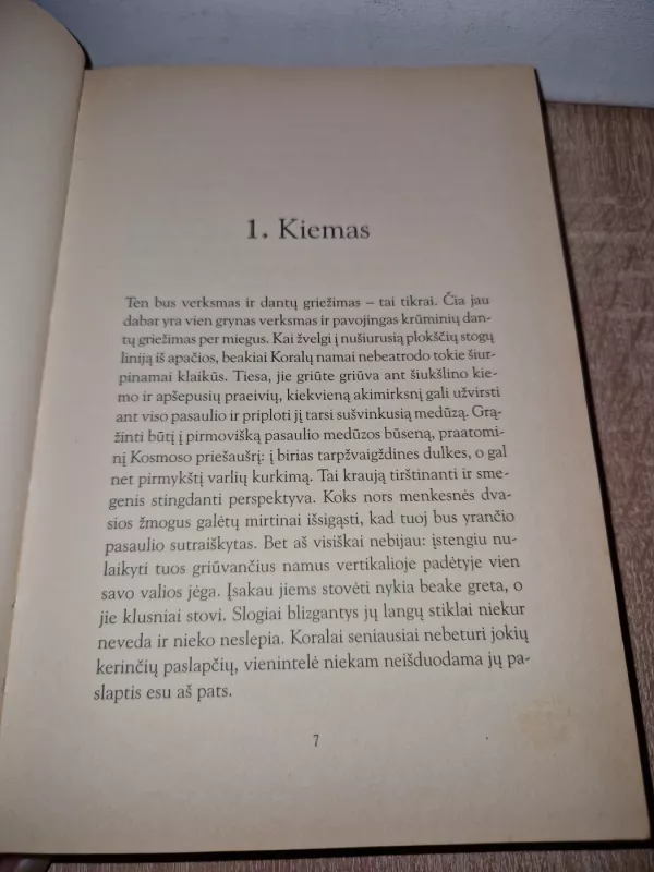 Sun-Tzu gyvenimas šventame Vilniaus mieste - Ričardas Gavelis, knyga 6