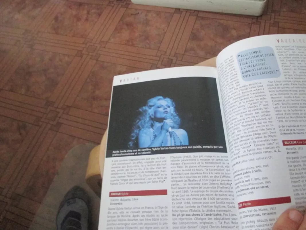 La chanson française et francophone - dePierre Saka, Yann Plougastel, knyga 6