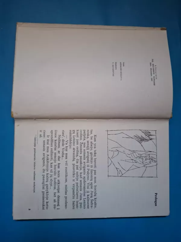 Aukštųjų Tatrų papėdėje - Bandurakas Volodimiras, knyga 6