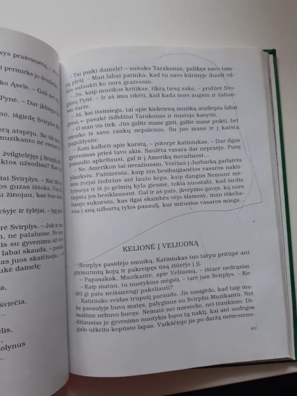 Svirplio muzikanto kelionės - Vytautas Tamulaitis, knyga 5