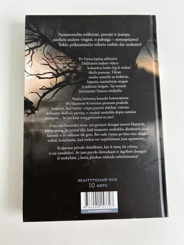 TAMSOS MOKYKLA. PIRMA KNYGA - SANDRA J. PAUL, knyga 3