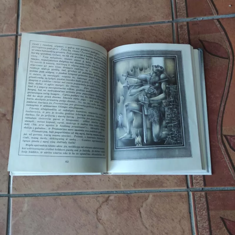 Ikaras Antrasis - Vytautė Žiliskaitė, knyga 6