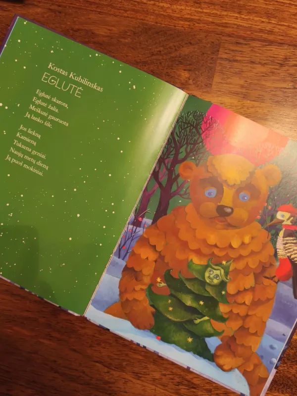 Žiemos pasaka - Autorių Kolektyvas, knyga 3