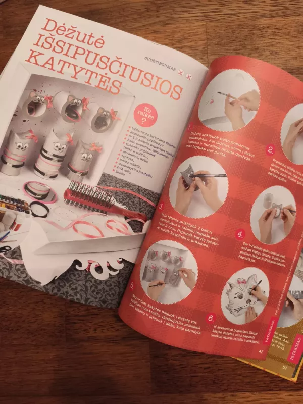 Mažojo kūrėjo knyga. Darbeliai tavo kambariui - Natalija Brancevičienė, knyga 3