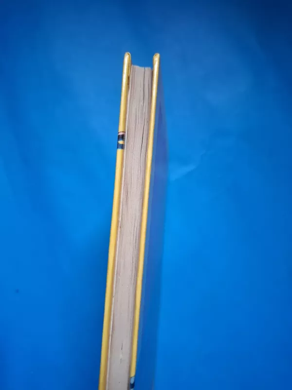 Auksiniai vorai - Reksas Stautas, knyga 5