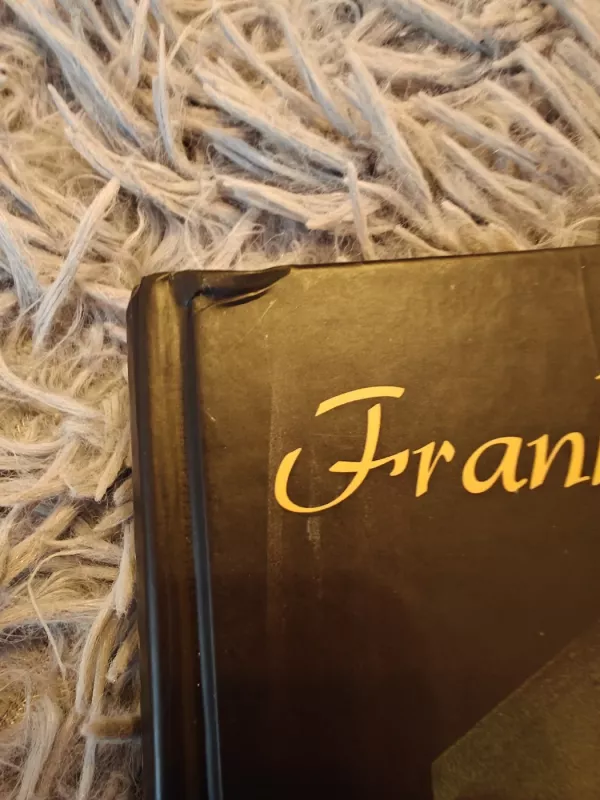 Tamsta mokytojas - Frank McCourt, knyga 4