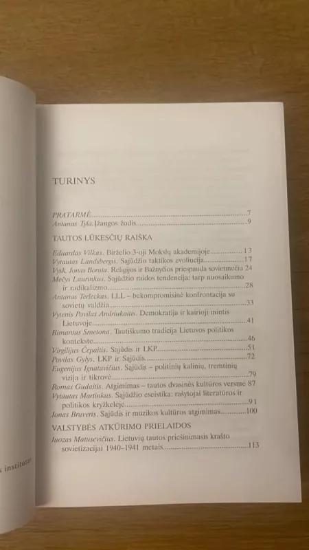 Lietuvos Sąjūdis ir valstybės idealų įgyvendinimas - Danutė Blažytė, Vanda  Kašauskienė, knyga 4