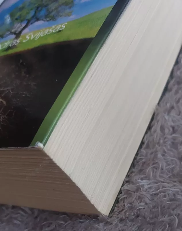 Išmintingas pasaulis, arba kaip gyventi be problemų - Aleksandras Svijašas, knyga 5