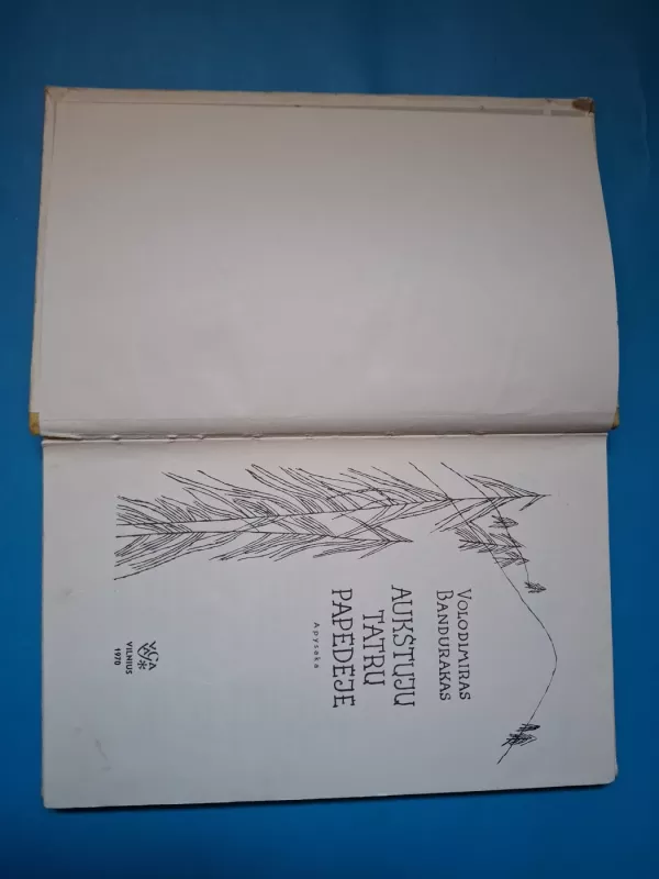 Aukštųjų Tatrų papėdėje - Bandurakas Volodimiras, knyga 5