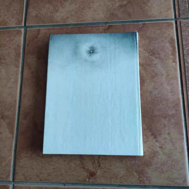 Ikaras Antrasis - Vytautė Žiliskaitė, knyga 3