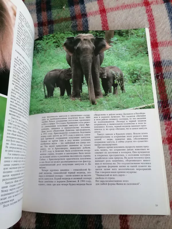 Indija - Mathur, knyga 5