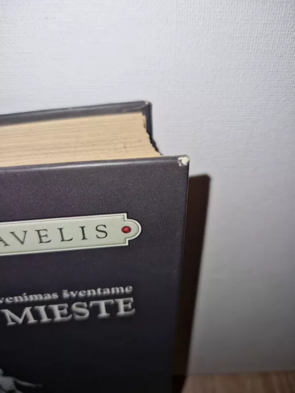 Sun-Tzu gyvenimas šventame Vilniaus mieste - Ričardas Gavelis, knyga 4