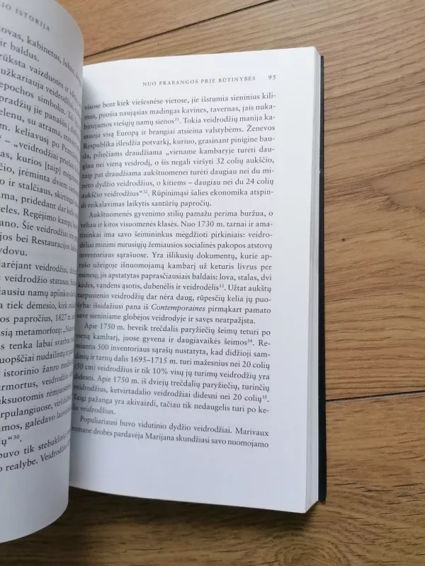 Veidrodžio istorija - Sabine Melchior-Bonnet, knyga 3