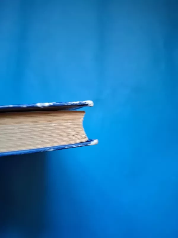 Atsisveikinimo naktis - Rabindranatas Tagorė, knyga 4