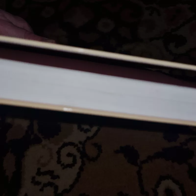 Širdis - Edmondo  de Amicis, knyga 4