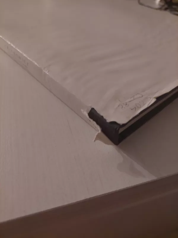 Czechowicz. XIX amžiaus Vilniaus vaizdai. Nineteenth Century Sights of Vilnius - Laima Skeivienė, knyga 4