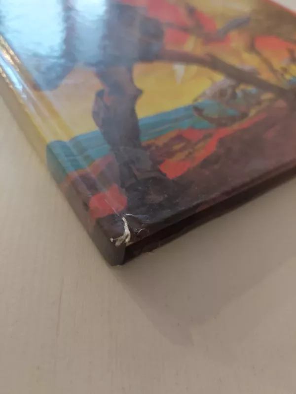 Iliada. Trojos karas - Stelo Martelli, knyga 4