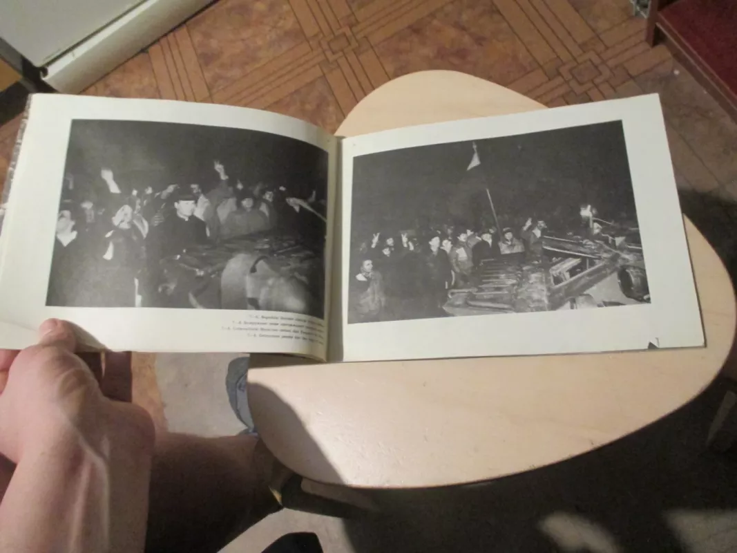 Lietuva 1991.01.13 - Autorių Kolektyvas, knyga 6