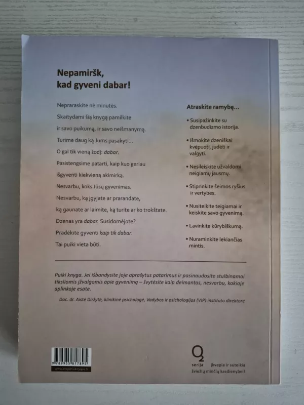 DZENiškas gyvenimas - G. MacClain, E.  Adamson, knyga 3