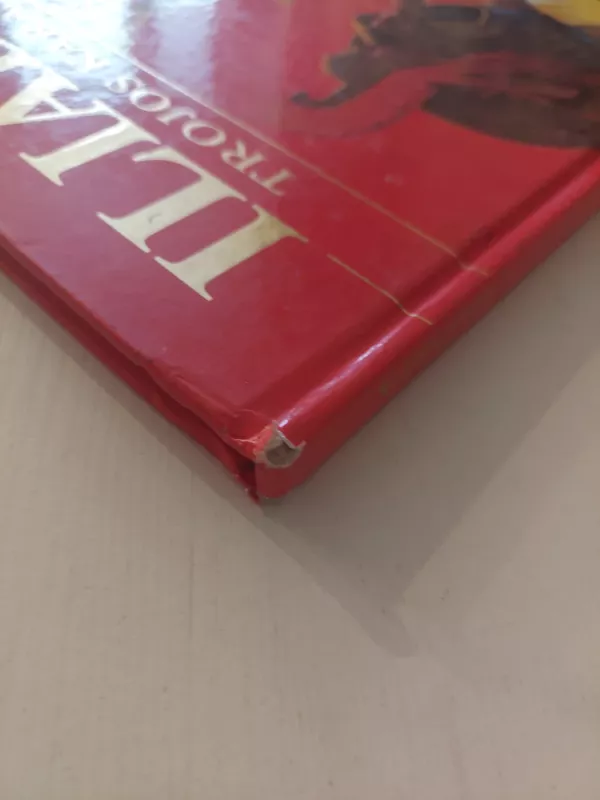 Iliada. Trojos karas - Stelo Martelli, knyga 5