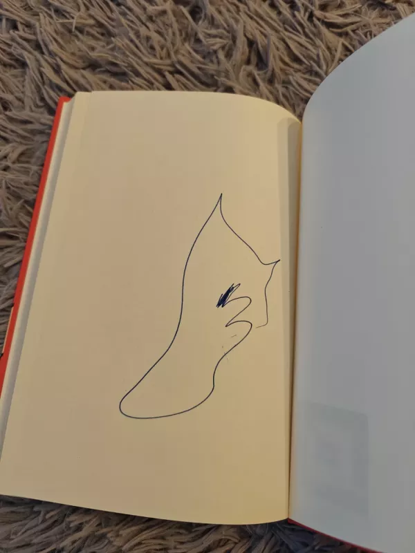 Myliu ir mamą, ir tėtį. Knyga tėvams, išgyvenantiems skyrybas. - Jolanta Sondaitė, knyga 4