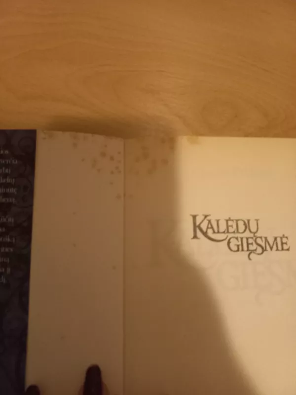 Kalėdų giesmė - Charles Dickens, knyga 6