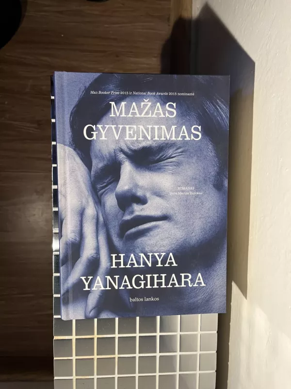 Mažas gyvenimas - Hanya Yanagihara, knyga 2