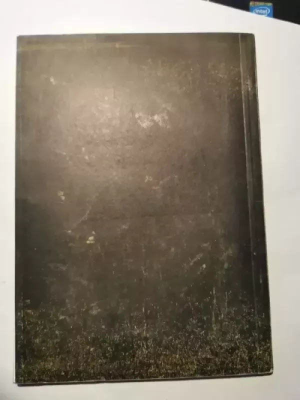 Aisčiai, XXV a. pr. m. e.-VIII a. m. e. - A. Norkūnas, knyga 5