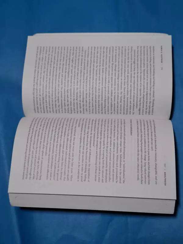 Developmental Theories Through the Life Cycle - Sonia G. Austrian, knyga 4