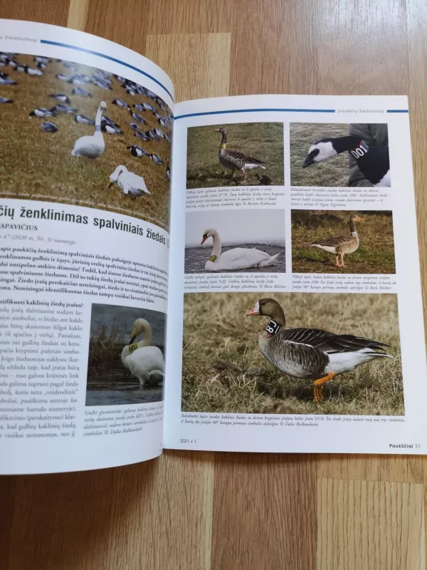 Paukščiai - Autorių kolektyvas, knyga 3