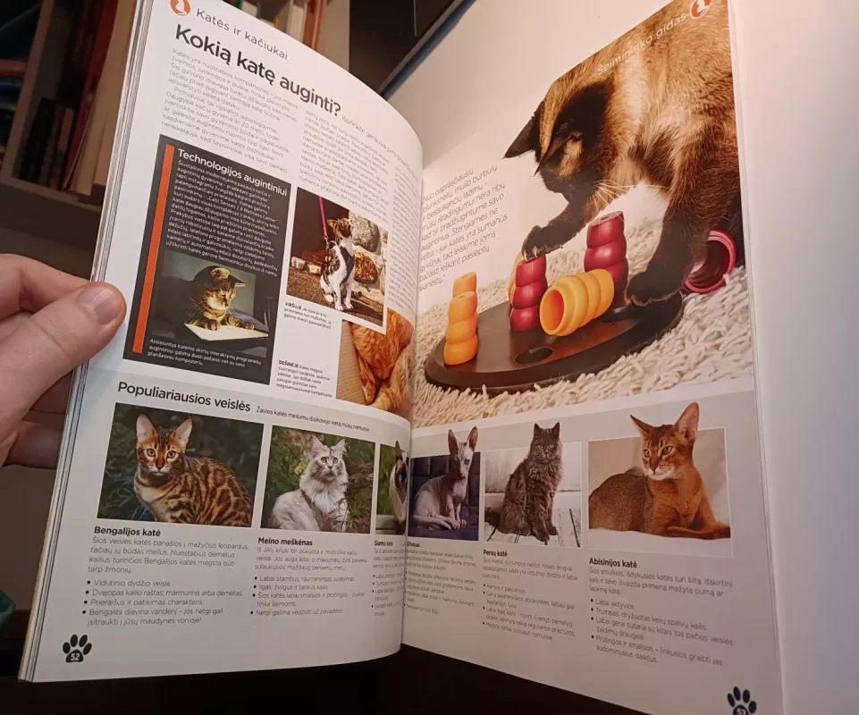 Nuostabūs augintiniai - Autorių Kolektyvas, knyga 5