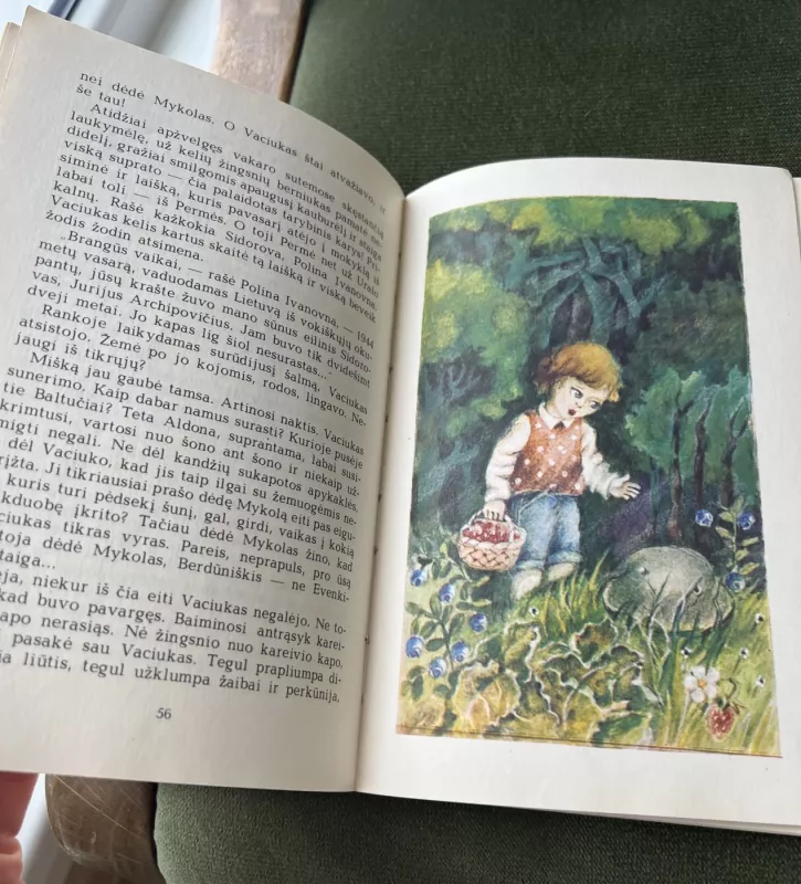 Visai netyčia - Vytautas Račickas, knyga 6