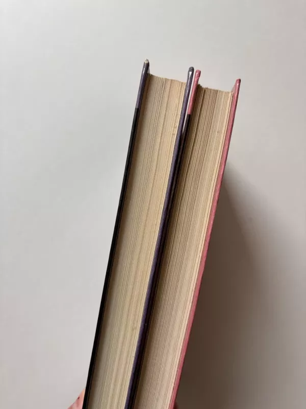 Grafienė de Monsoro (2 tomai) - Aleksandras Diuma, knyga 5