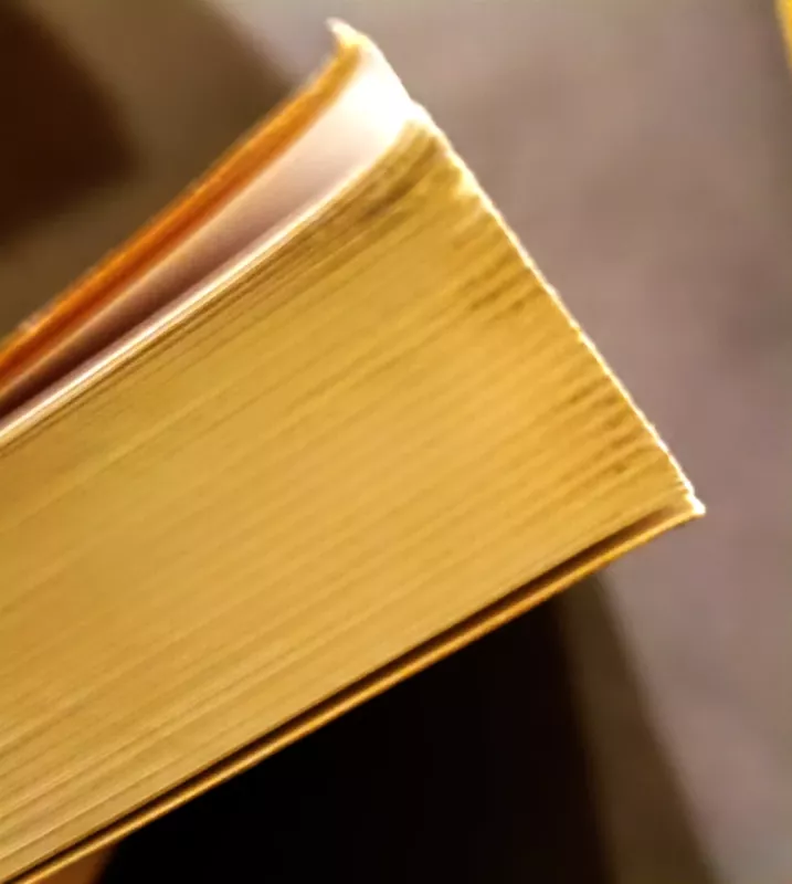 Smurtas: apmąstymai apie nacionalinę epidemiją - James Gilligan, knyga 3