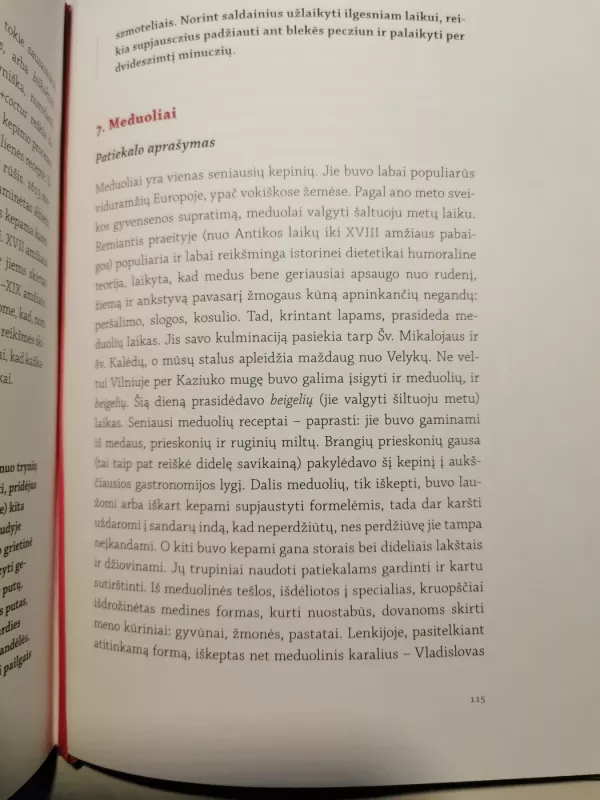 Lietuvos gaspadinė, arba Pamokinimai, kaip prigulinčiai suvartoti Dievo dovanas - Liudvika Didžiulienė-Žmona, knyga 6