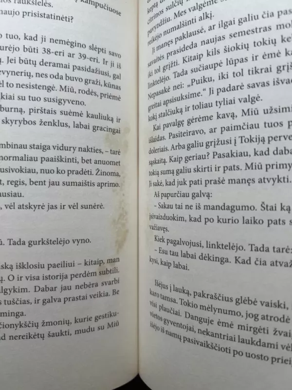 Mylimoji Sputnik - Haruki Murakami, knyga 3