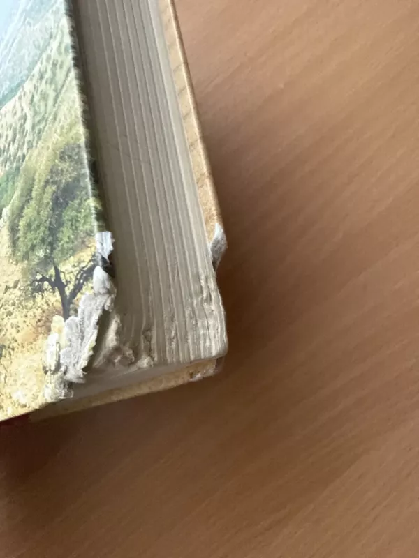 Menas mylėti - Audronė Ilgevičienė, knyga 4