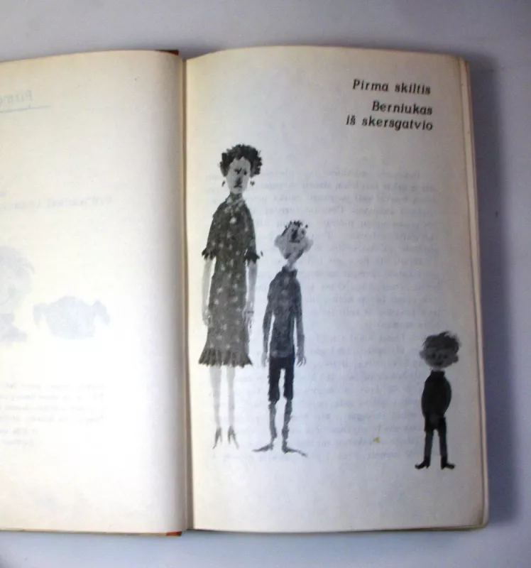 Timas Taleris arba parduotas juokas - Džeimsas Kriusas, knyga 6