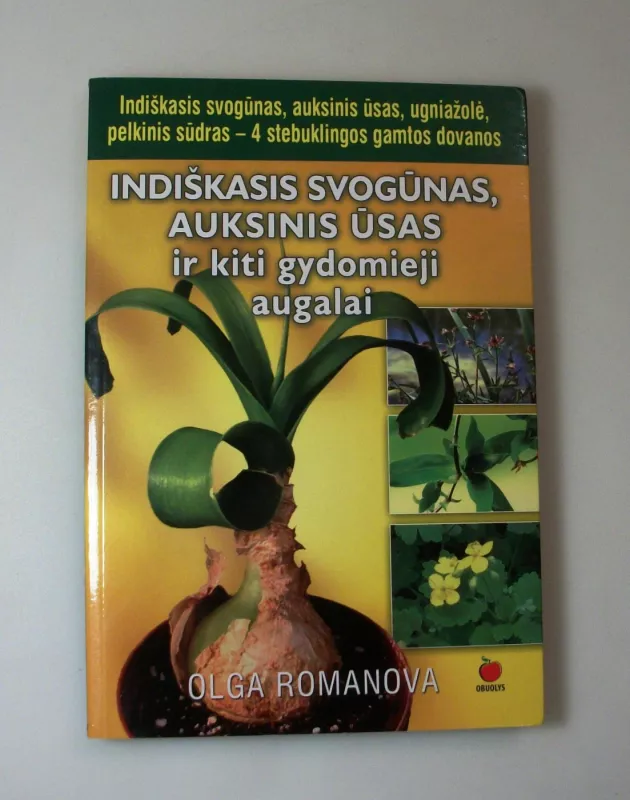 Indiškasis svogūnas, auksinis ūsas ir kiti gydomieji augalai - Olga Romanova, knyga 2