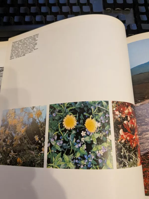 Visokie paraleli - B. Cholopova, knyga 3